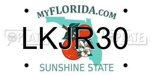 LKJR30 Florida License Plate