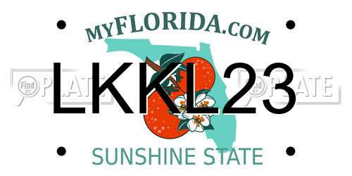 LKKL23 Florida License Plate