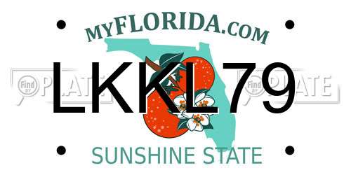 LKKL79 Florida License Plate