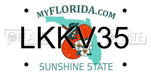 LKKV35 Florida License Plate