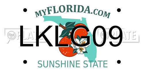 LKLG09 Florida License Plate
