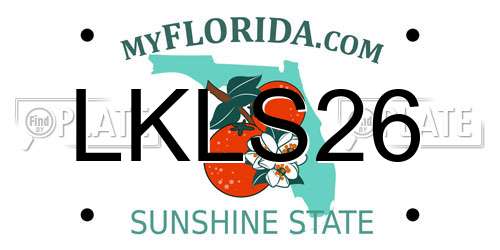 LKLS26 Florida License Plate