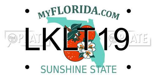 LKLT19 Florida License Plate