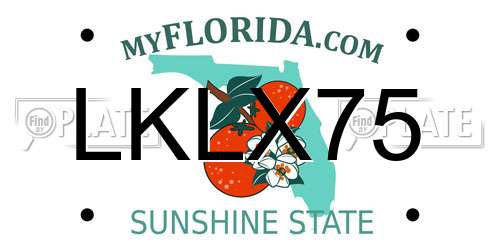 LKLX75 Florida License Plate