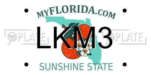 LKM3 Florida License Plate