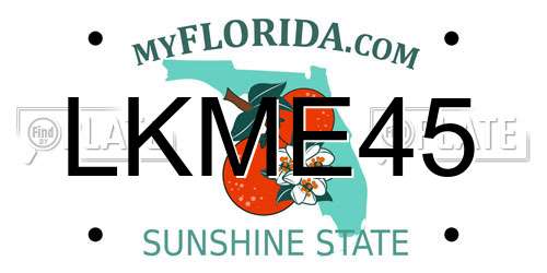LKME45 Florida License Plate