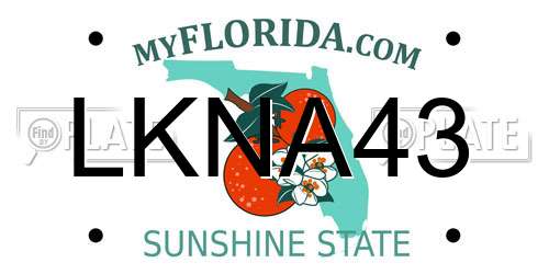 LKNA43 Florida License Plate