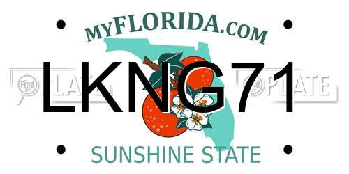 LKNG71 Florida License Plate