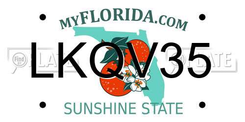 LKQV35 Florida License Plate