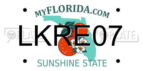 LKRE07 Florida License Plate