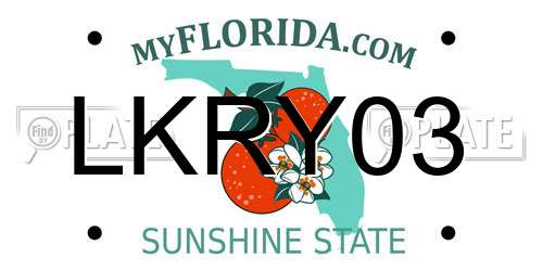 LKRY03 Florida License Plate