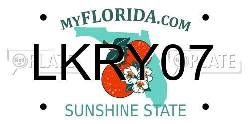 LKRY07 Florida License Plate