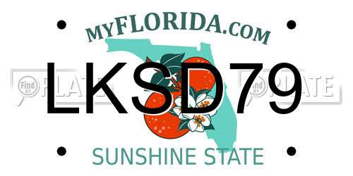 LKSD79 Florida License Plate