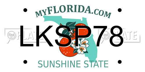 LKSP78 Florida License Plate