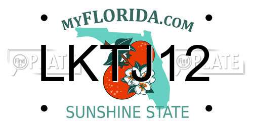 LKTJ12 Florida License Plate