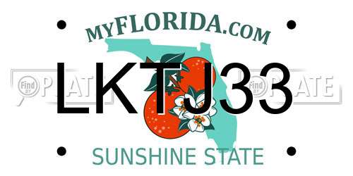 LKTJ33 Florida License Plate