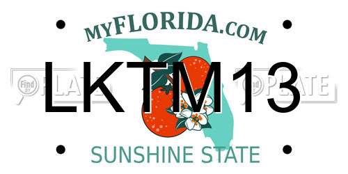 LKTM13 Florida License Plate