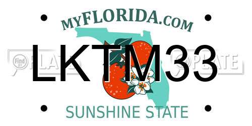 LKTM33 Florida License Plate