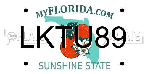 LKTU89 Florida License Plate