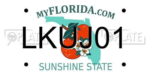 LKUJ01 Florida License Plate