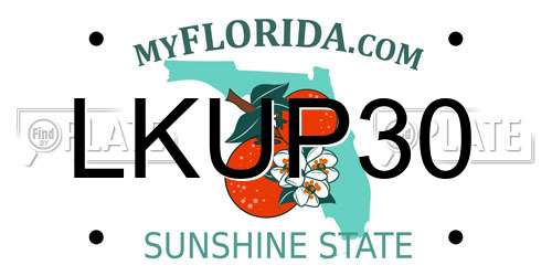 LKUP30 Florida License Plate