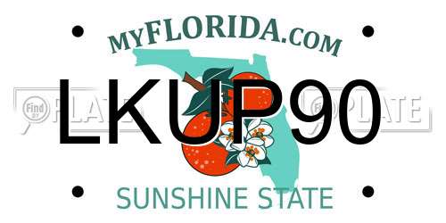 LKUP90 Florida License Plate