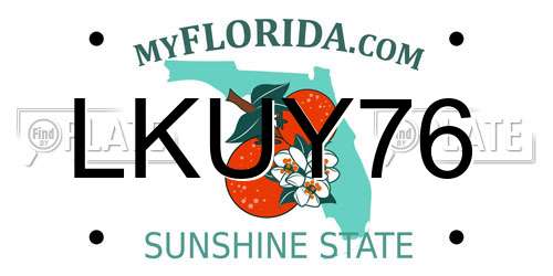 LKUY76 Florida License Plate
