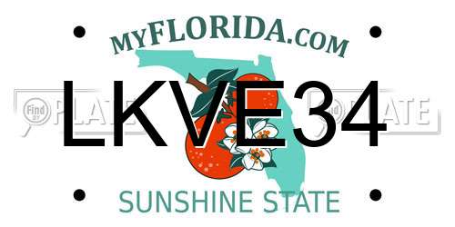 LKVE34 Florida License Plate