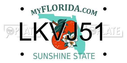 LKVJ51 Florida License Plate