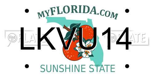 LKVU14 Florida License Plate