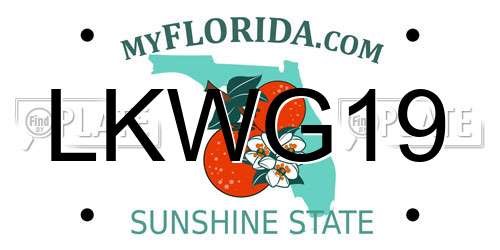 LKWG19 Florida License Plate