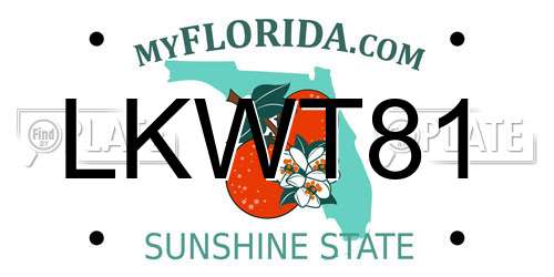 LKWT81 Florida License Plate