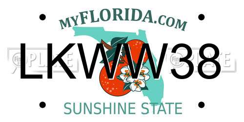 LKWW38 Florida License Plate