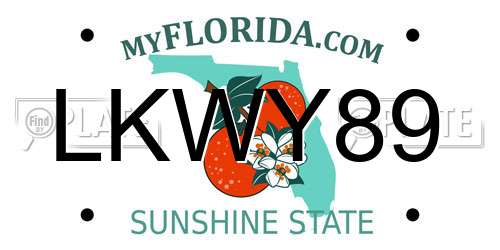 LKWY89 Florida License Plate