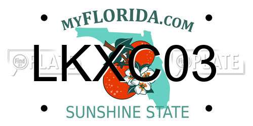 LKXC03 Florida License Plate