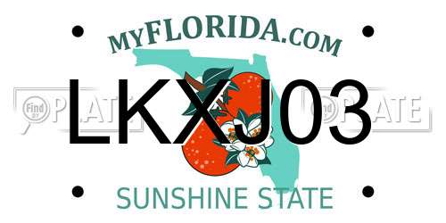 LKXJ03 Florida License Plate