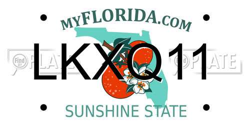 LKXQ11 Florida License Plate
