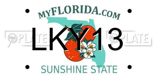 LKY13 Florida License Plate