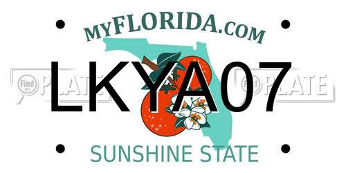 LKYA07 Florida License Plate