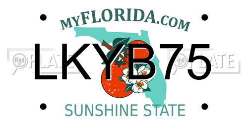 LKYB75 Florida License Plate
