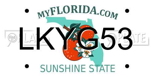 LKYG53 Florida License Plate