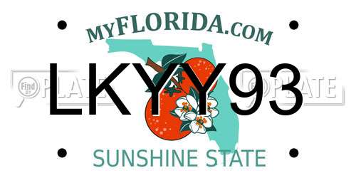 LKYY93 Florida License Plate