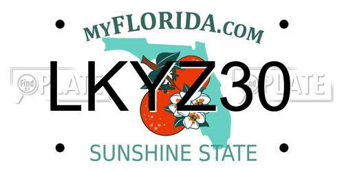LKYZ30 Florida License Plate