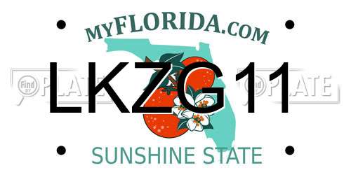 LKZG11 Florida License Plate