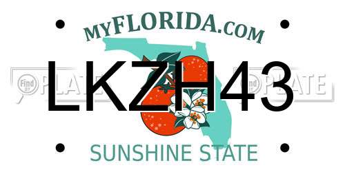 LKZH43 Florida License Plate