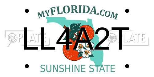 LL4A2T Florida License Plate