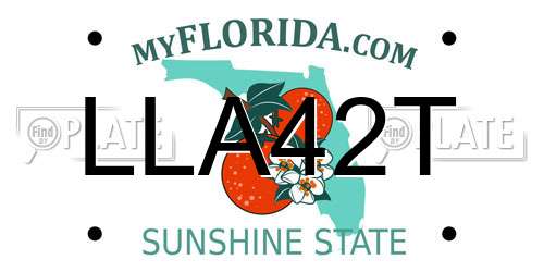 LLA42T Florida License Plate
