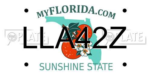 LLA42Z Florida License Plate