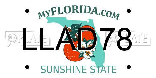 LLAD78 Florida License Plate