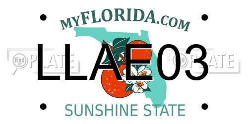LLAE03 Florida License Plate